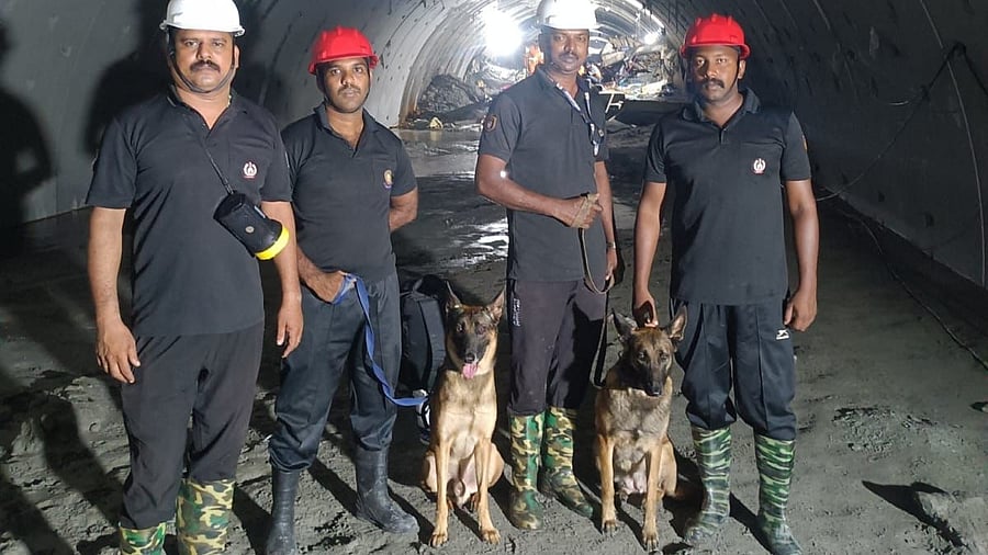 <div class="paragraphs"><p>The dogs — Maya and Murphy — belonging to Kerala Police's K-9 squad identified the exact location of a body buried almost 10 feet under silt and mud.</p></div>