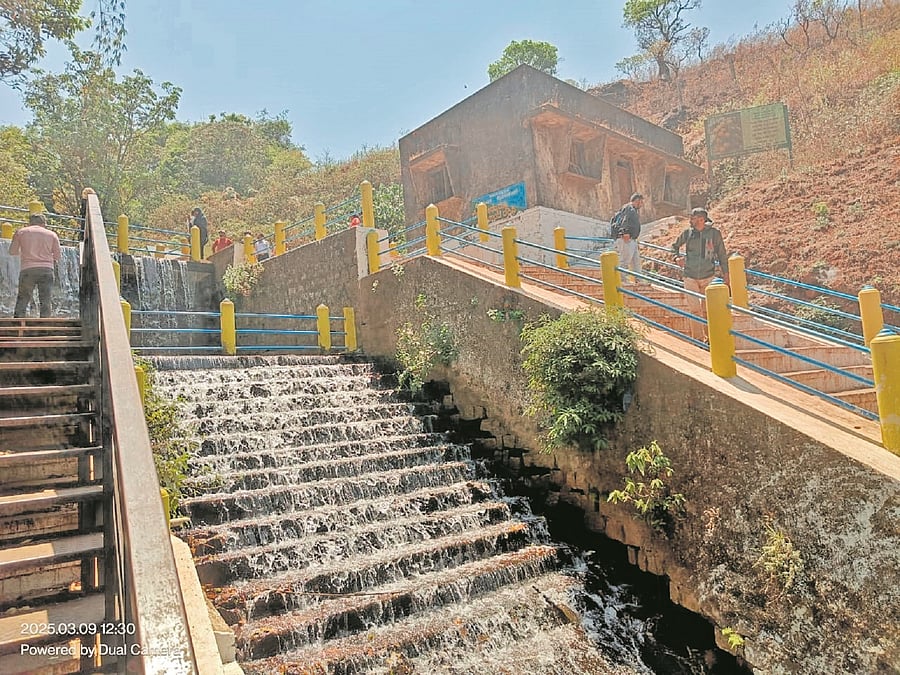 <div class="paragraphs"><p>The water-level in Honnammana Halla near Bababudangiri has come down drastically in March. </p></div>