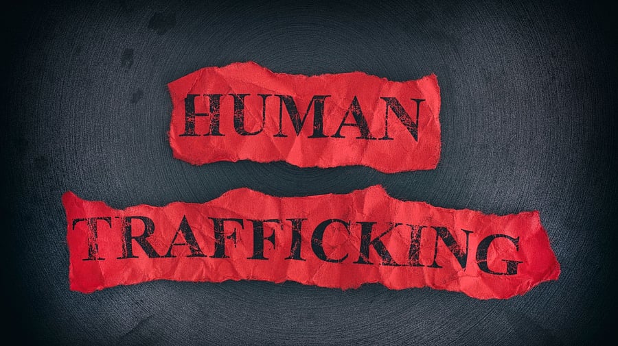 <div class="paragraphs"><p>Altogether 45 children, including 42 girls, have been rescued in an anti-trafficking operation carried out recently by the Bihar Police, a senior official said on Monday.</p></div>