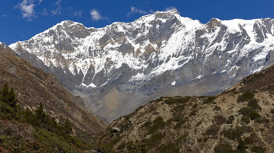 <div class="paragraphs"><p>Himalaya mounts. (Representative image)</p></div>