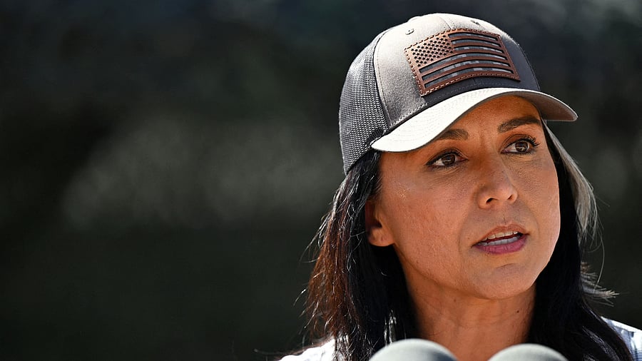 <div class="paragraphs"><p>US Director of National Intelligence Tulsi Gabbard.</p></div>