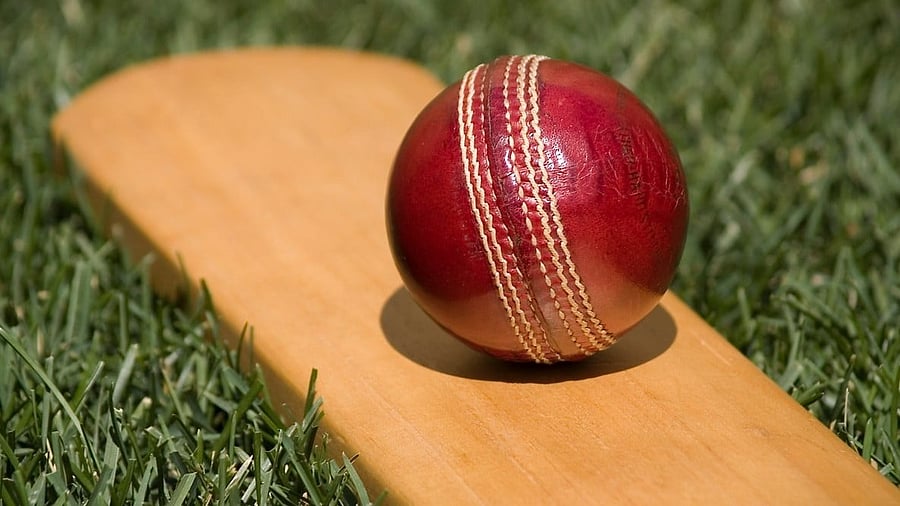 <div class="paragraphs"><p>Representative image of cricket bat and ball. </p></div>