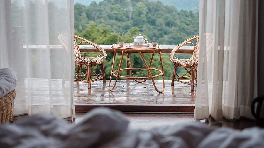 <div class="paragraphs"><p>Image for representation.</p></div>