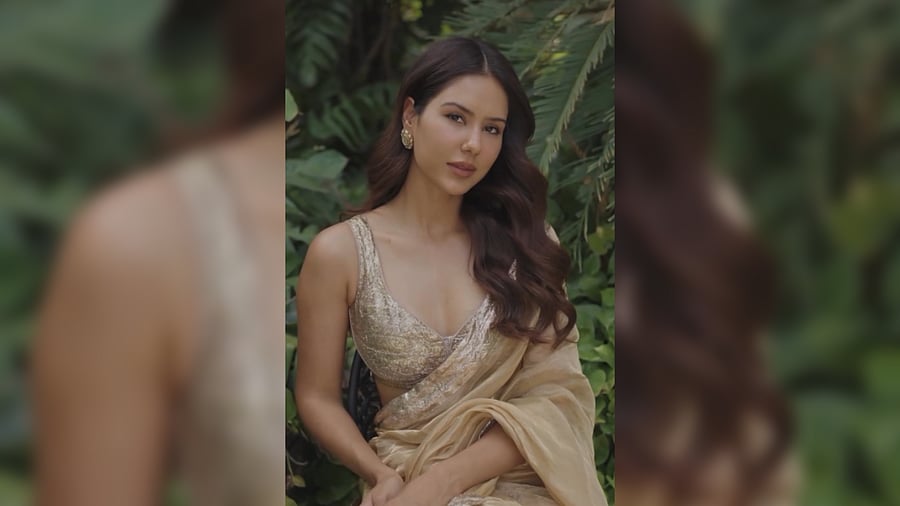 <div class="paragraphs"><p>Punjabi actress Sonam Bajwa</p></div>