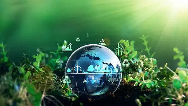 <div class="paragraphs"><p>Image for representation.</p></div>