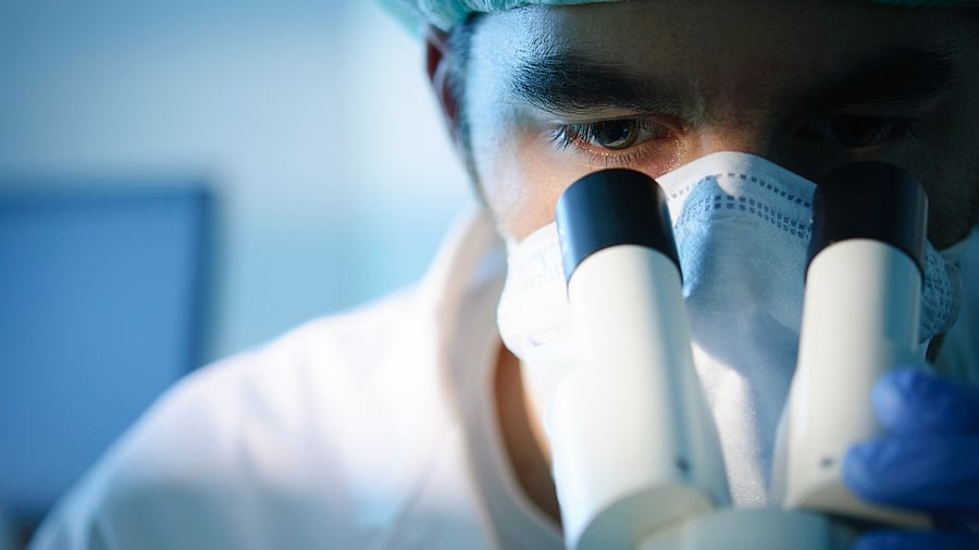 <div class="paragraphs"><p>Image for representation.</p></div>