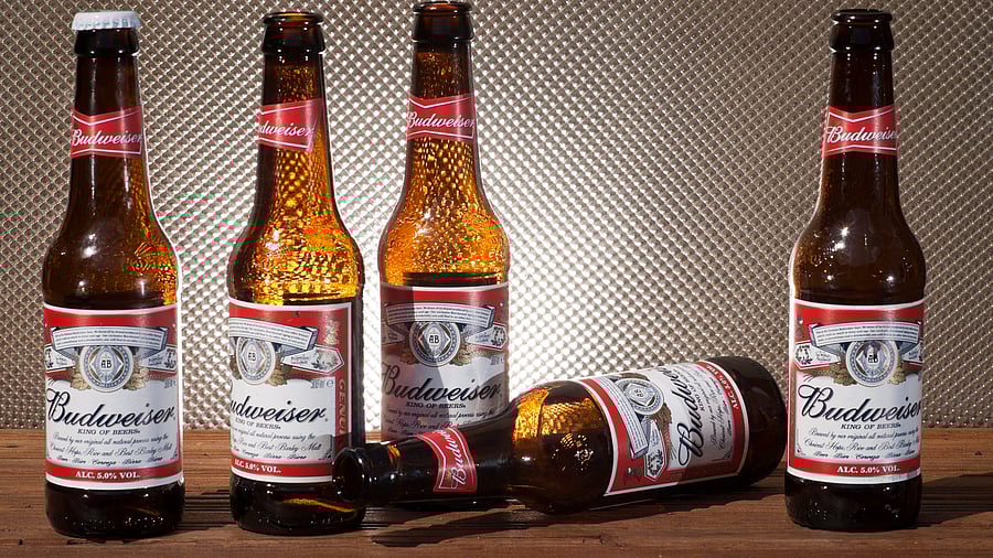 <div class="paragraphs"><p>Representative image showing Bottles of Budweiser Beer.</p></div>