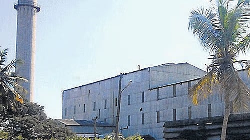 <div class="paragraphs"><p>Sugar mills. </p></div>