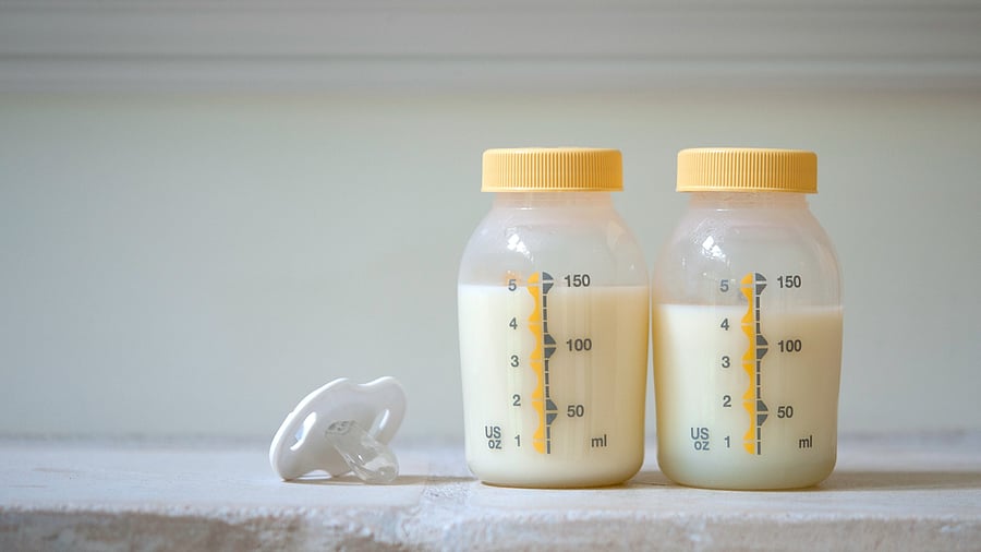 <div class="paragraphs"><p>Representative image for milk</p></div>