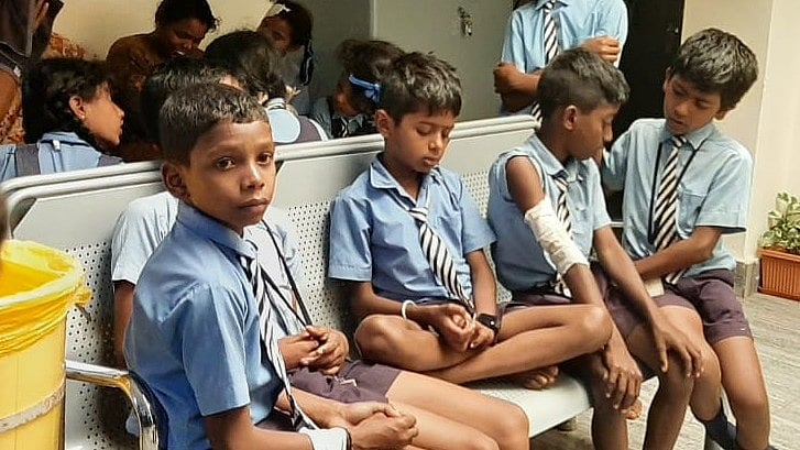 <div class="paragraphs"><p>The students who were attacked by bees.</p></div>