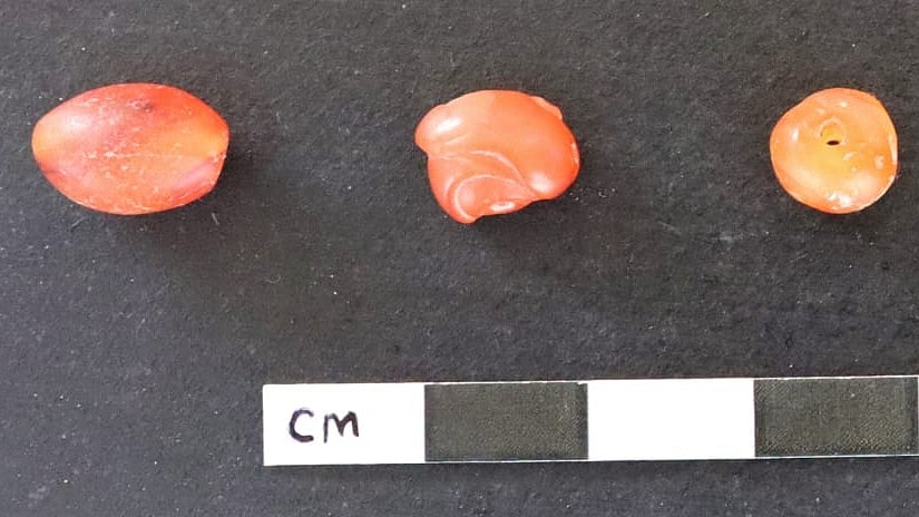 <div class="paragraphs"><p>Objects excavated. </p></div>