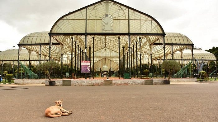 <div class="paragraphs"><p>A glass house in Lalbagh. </p></div>