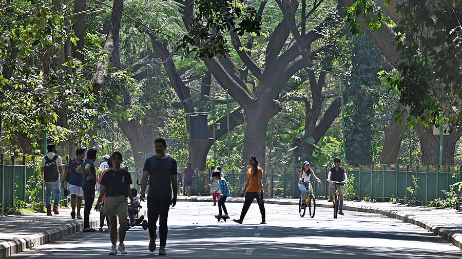 <div class="paragraphs"><p>People walking in Cubbon Park.</p></div>