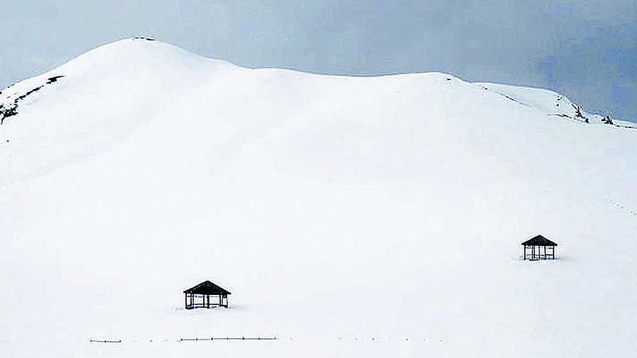 <div class="paragraphs"><p>Avalanche warning</p></div>