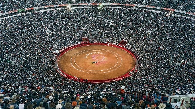 <div class="paragraphs"><p>Traditional bullfights</p></div>