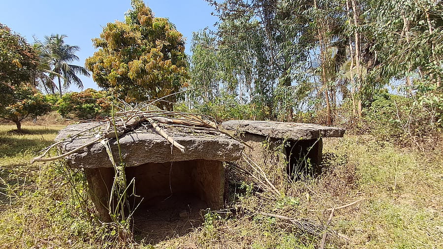 <div class="paragraphs"><p>The two dolmens at Karlamangala, which host the hero stones and inscriptions; (top) the inscription inside one of the dolmens.  </p></div>