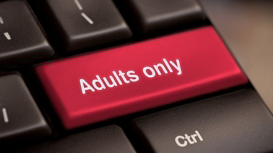 <div class="paragraphs"><p>Representative image indicating watching porn.</p></div>