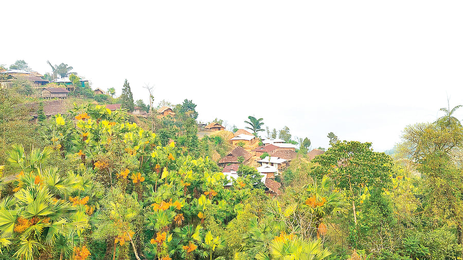 A view of the village of Longwa.