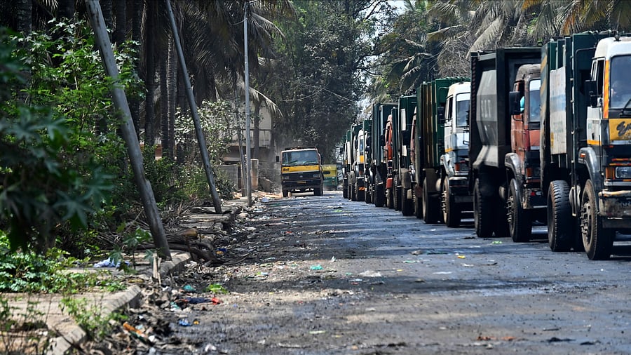 <div class="paragraphs"><p>For Point Blank: People, mostly immigrants pick scrap from landfill at Mittaganahalli in the northern part of Bengaluru, March 19, 2025. </p></div>