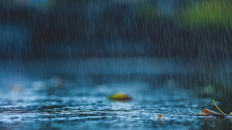 <div class="paragraphs"><p>Representative image of rain drops.&nbsp;</p></div>