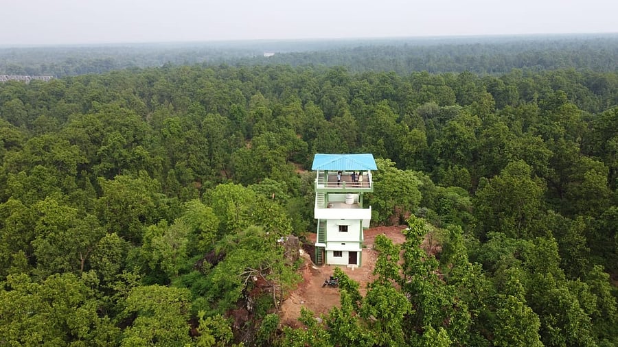 <div class="paragraphs"><p>A view of the Sanjay Tiger Reserve.</p></div>