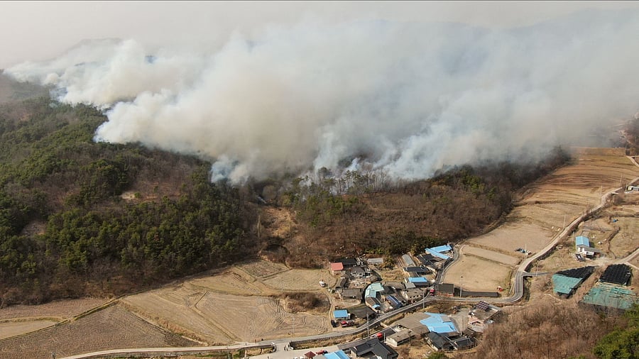 <div class="paragraphs"><p>Smoke rises from a wildfire that has devastated the area in Uiseong, South Korea, March 25, 2025. </p></div>