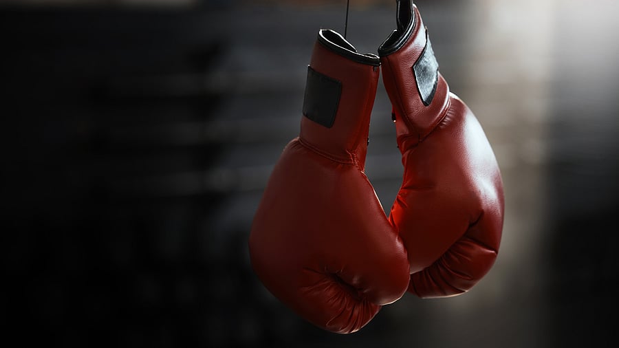 <div class="paragraphs"><p>Image for representation.</p></div>