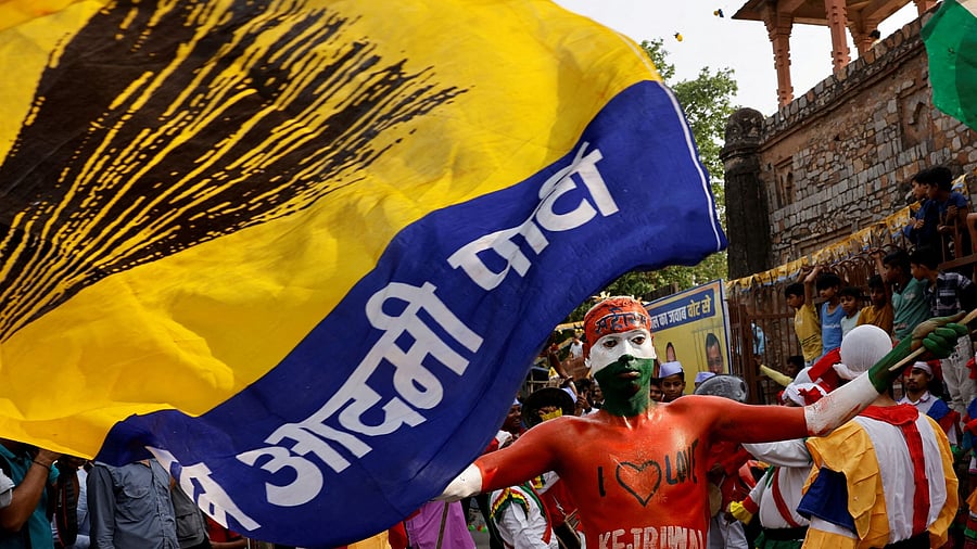 <div class="paragraphs"><p>A person waving the AAP flag. For representational purposes.</p></div>