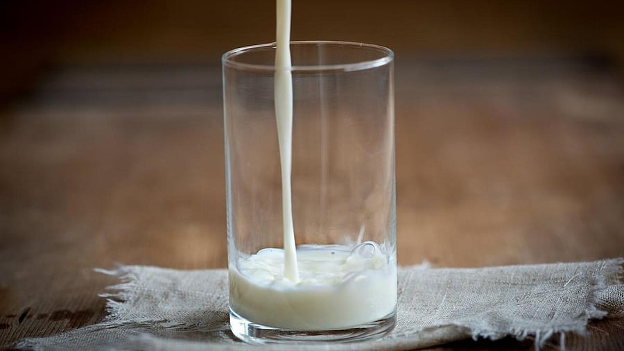 <div class="paragraphs"><p>Representative image of milk being poured into a glass. </p></div>