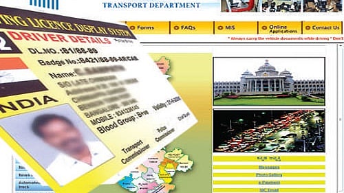 <div class="paragraphs"><p>Driving licence. Representative image.</p></div>