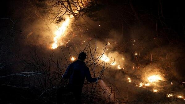 <div class="paragraphs"><p>A person sprays water as a wildfire devastates the area in Andong, South Korea.</p></div>