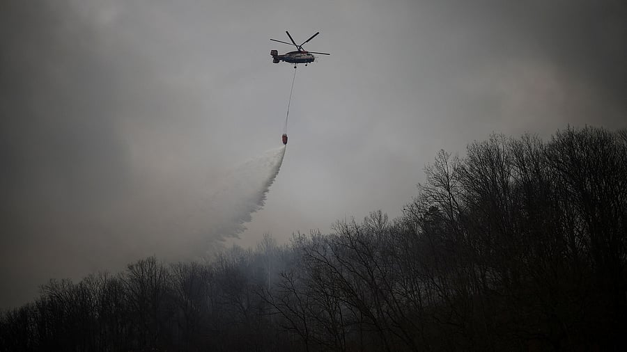 <div class="paragraphs"><p>A firefighting helicopter drops water as it flies during an operation amidst a wildfire, in Uiseong, South Korea, </p></div>