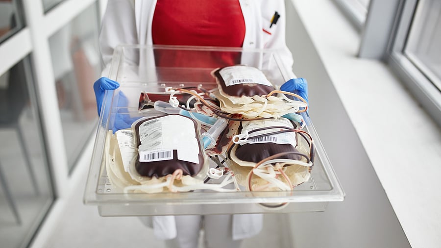 <div class="paragraphs"><p>Representative image for a blood bank.</p></div>