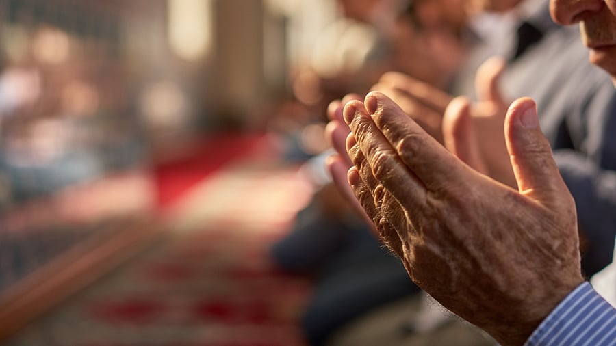 <div class="paragraphs"><p>Image for representation.</p></div>