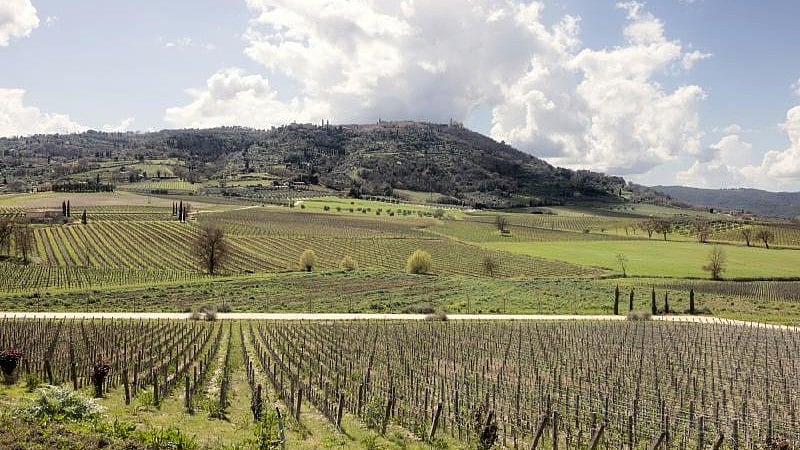 <div class="paragraphs"><p>In Tuscany, Italy's most famous wine-exporting region, thousands of bottles meant for American tables are stranded in the wineries' chilly cellars or in storage rooms in Livorno, the port city from which they were to depart.</p></div>