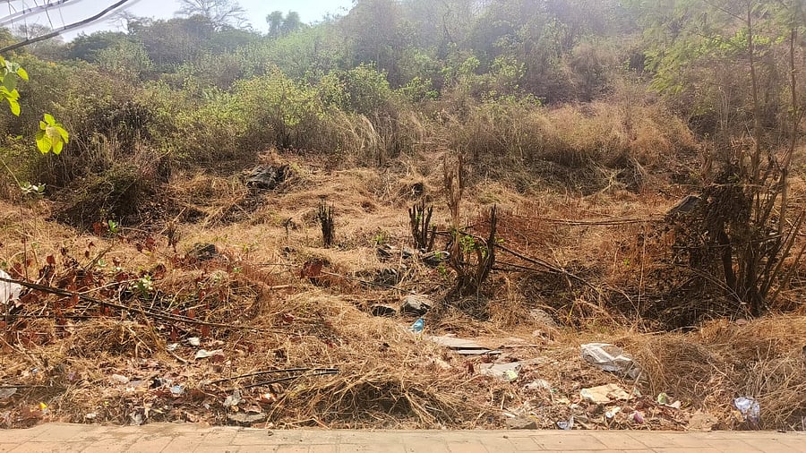 <div class="paragraphs"><p>Pointing out a recent Supreme Court observation that 'cutting trees is worse than killing human beings', NatConnect Foundation called for exemplary punishment for those responsible for chopping the Parsik Hill trees.</p></div>