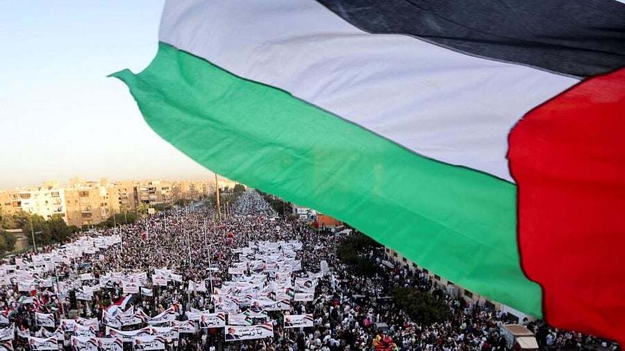 <div class="paragraphs"><p>People waving a Palestinian flag (representative image)</p></div>