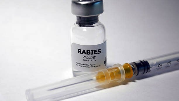 <div class="paragraphs"><p>Image for representational purposes.</p></div>