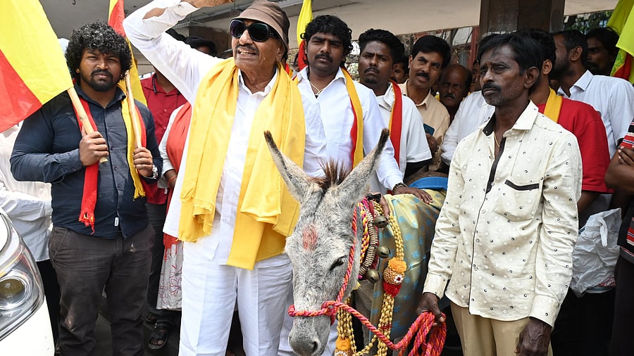 <div class="paragraphs"><p>Kannada activist Vatal Nagaraj felicitated a donkey as a mark of respect to the animal's 'loyalty' and to protest rising prices on the occasion of April Fool's Day at the Majestic bus stand in Bengaluru, on Tuesday.</p></div>