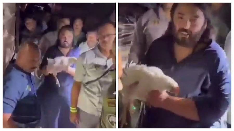 <div class="paragraphs"><p>Video screengrab</p></div>