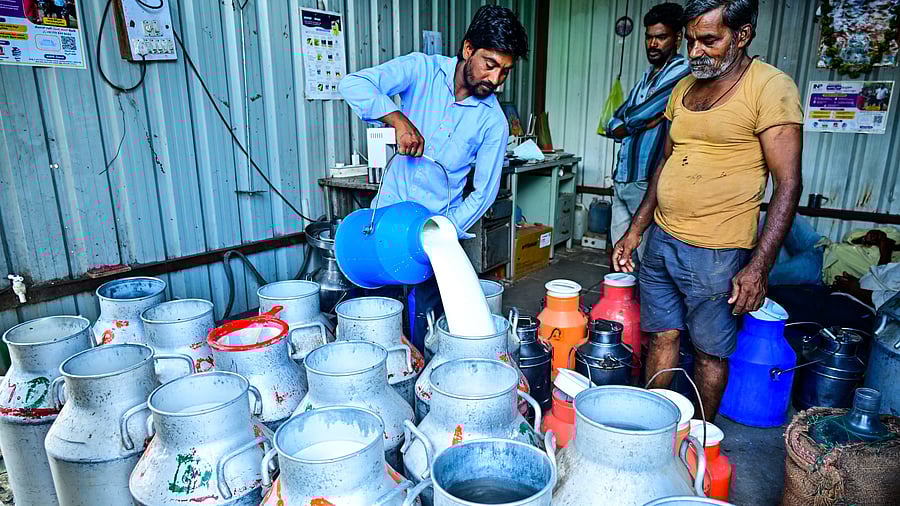 <div class="paragraphs"><p>A milk collection centre in Karnataka</p></div>