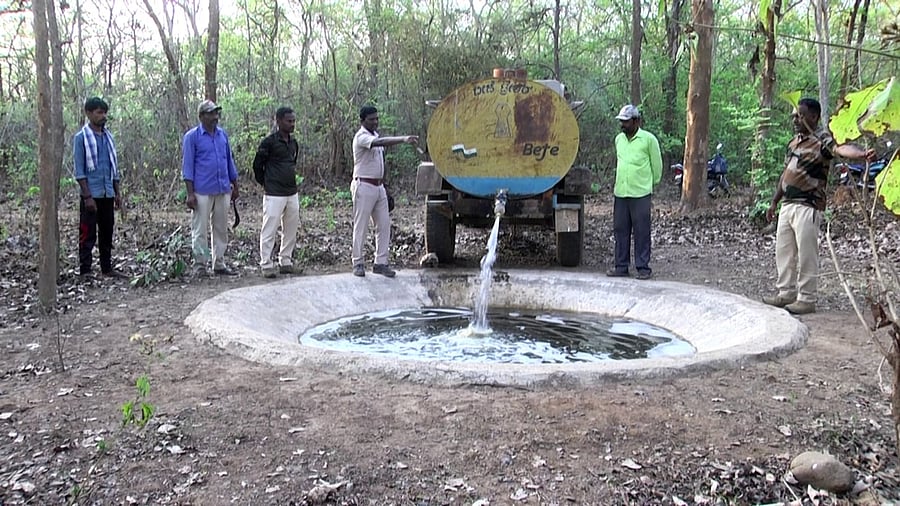 <div class="paragraphs"><p>Forest Department staff fill an artificial pond created by the Department in the forest area in Dharwad, with water to quench the thirst of wild animals and birds.</p></div>