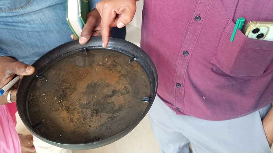 <div class="paragraphs"><p>A sample of the water showing insect eggs and larvae. </p></div>