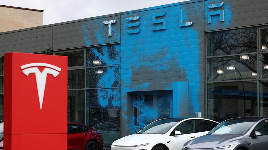 <div class="paragraphs"><p>Tesla sales have been hit hard. </p></div>