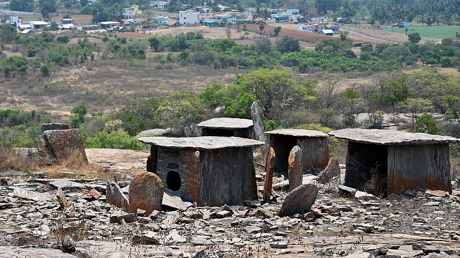 <div class="paragraphs"><p>The dolmens at Mallasandram in Krishnagiri District of Tamil Nadu are located atop a small hill which is surrounded by rice fields.</p></div>