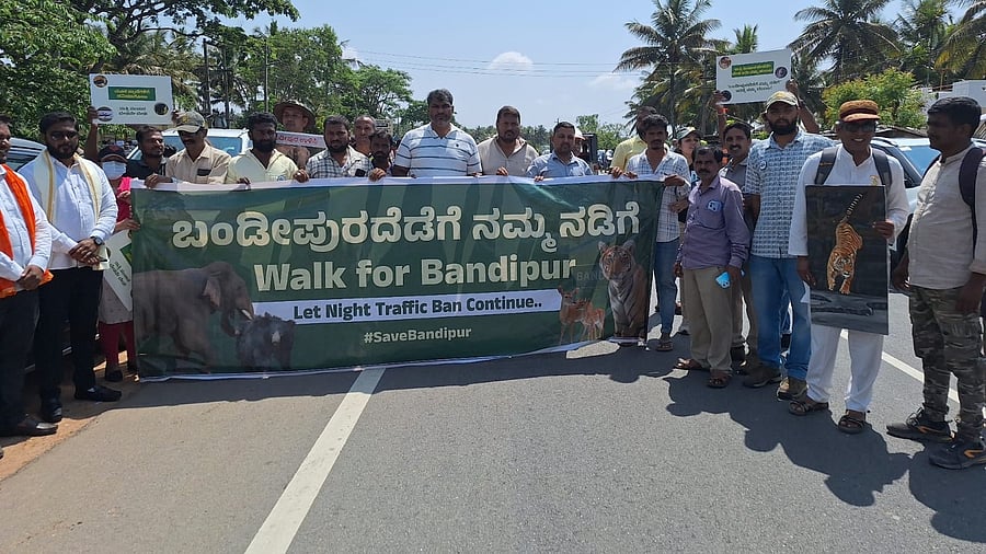 <div class="paragraphs"><p>Environmentalists take out a protest rally 'Walk for Bandipur' against lifting the night traffic ban at Bandipur, Gundlupet taluk, Chamarajanagar district, on Sunday.</p></div>
