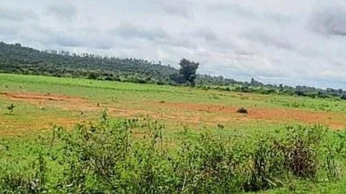 <div class="paragraphs"><p>Land acquired for Film City project at Immaavu of Nanjangud taluk, Mysuru district. </p></div>