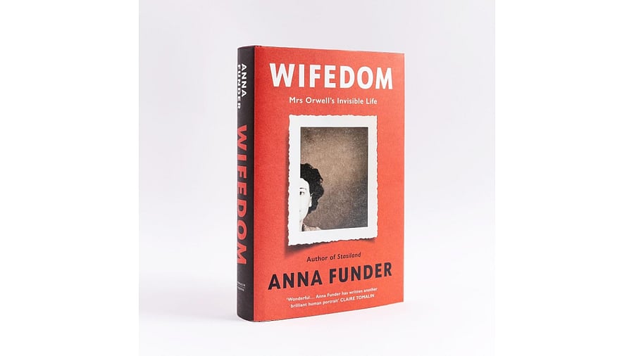 <div class="paragraphs"><p>Wifedom</p></div>