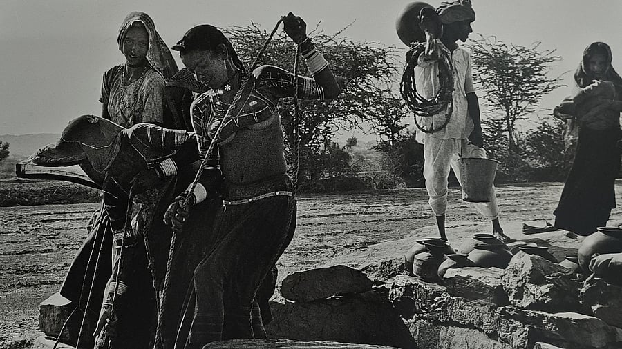 One of the pics at the exhibition.