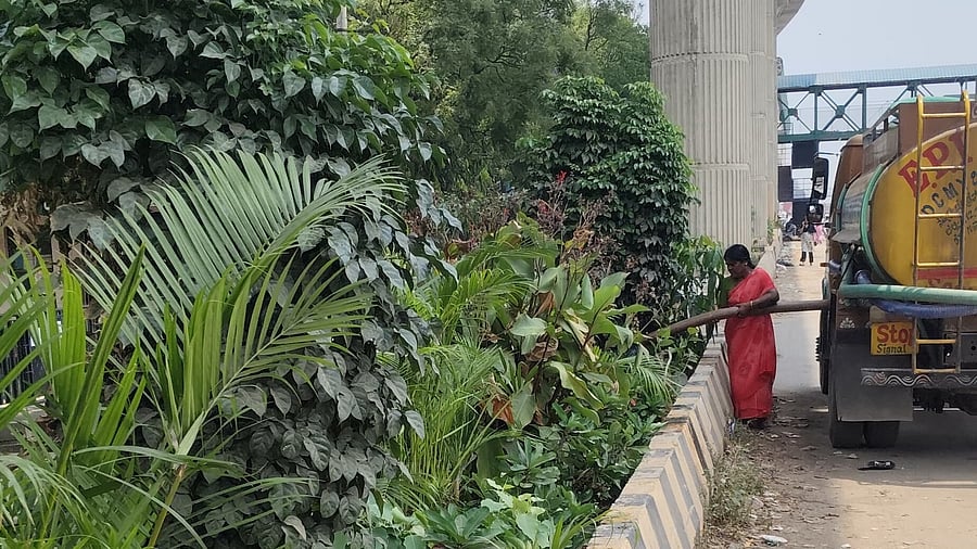 <div class="paragraphs"><p>One of the medians at the Manjunath Nagar metro station where soil-less gardens have been implemented. </p></div>